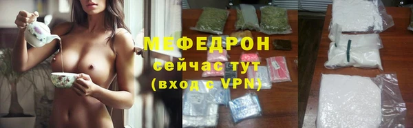 индика Осинники