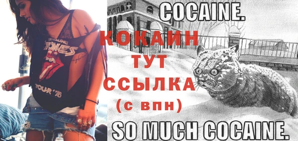 герыч Няндома