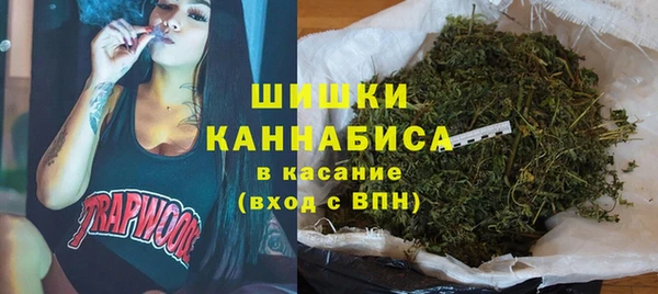 амф Осташков