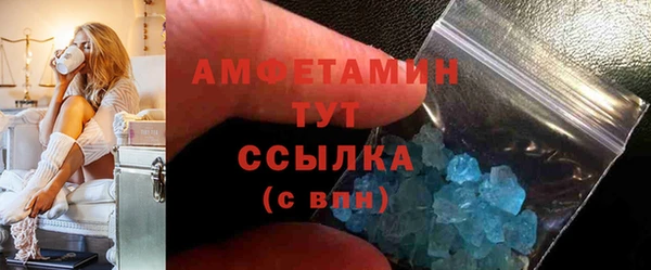 индика Осинники